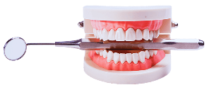 Dentipai Hero Image