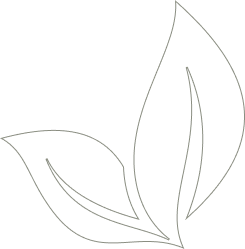 About Us Shape Image