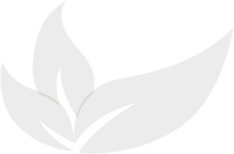 About Us Shape Image